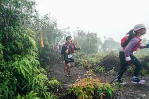 BIB: 
                            <button type="button" onclick="openModal(26271878)" class="btn btn-primary btn-sm float-right btn-popup" data-toggle="modal" data-target=".modal-high-quality">
                        <i class="fas fa-shopping-cart"></i> Add to Cart
                    </button>
                                            <button type="button" onclick="isThisMe(26271878, true)" class="btn btn-success btn-sm float-right btn-popup btn-isme hidden" data-toggle="tooltip" data-placement="bottom" title="นี่คือรูปของคุณใช่ไหม คลิกที่นี่เพื่อเอาเข้าอัลบั้ม">
                        <i class="fas fa-plus"></i> Add to album
                    </button>
                    <button type="button" onclick="isThisMe(26271878, false)" class="btn btn-warning btn-sm float-right btn-popup btn-isnotme hidden">
                        <i class="fas fa-ban"></i> Remove from album
                    </button>